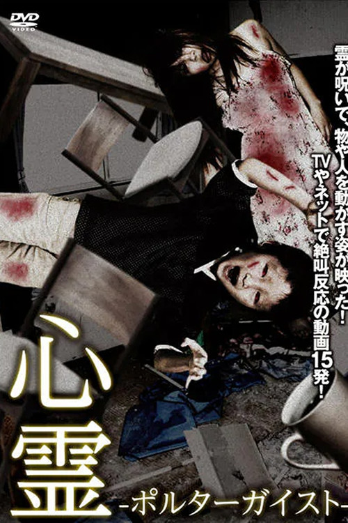 Spiritual Phenomenon - Poltergeist - (2016) poster