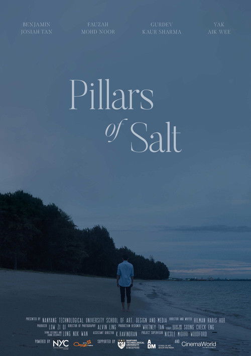 Pillars of Salt (2021) poster