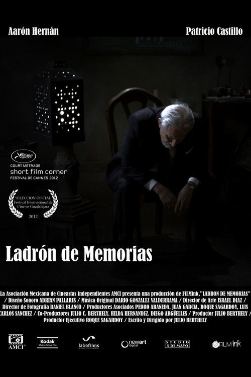 Ladrón de memorias (2012) poster