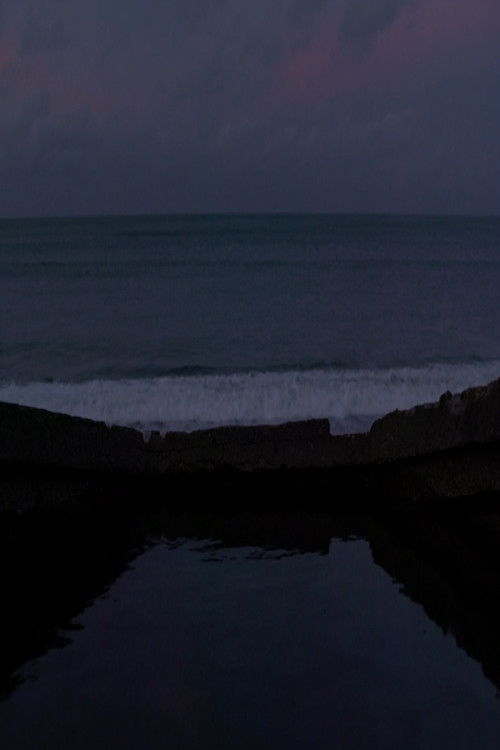 Hommage à Jean-Marie Straub - 08.01.2018 - réalisation Valérie Massadian (2018) poster