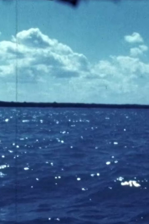Woman Water Huron Goodbye (1981) poster