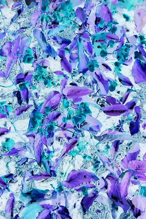 Red Green (2020) poster