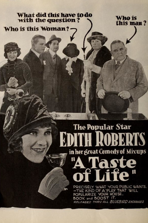 A Taste of Life (1919) poster