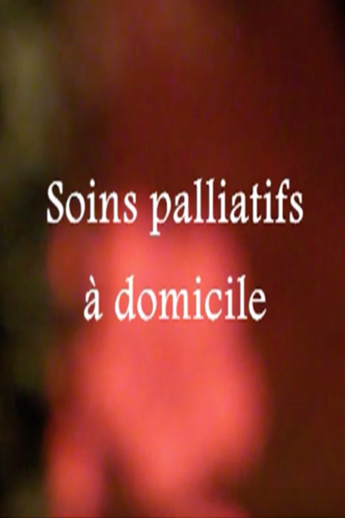Soins palliatifs à domicile (2011) poster