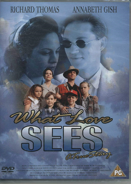 What Love Sees (1996) poster