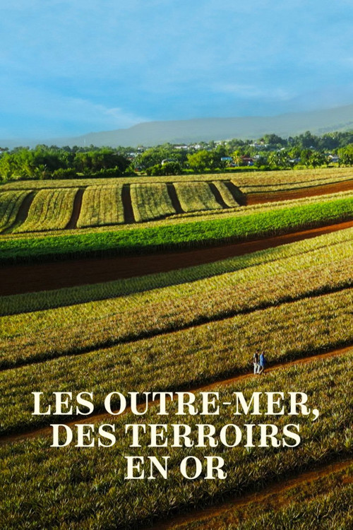 Les Outre-mer, des terroirs en or (2024) poster