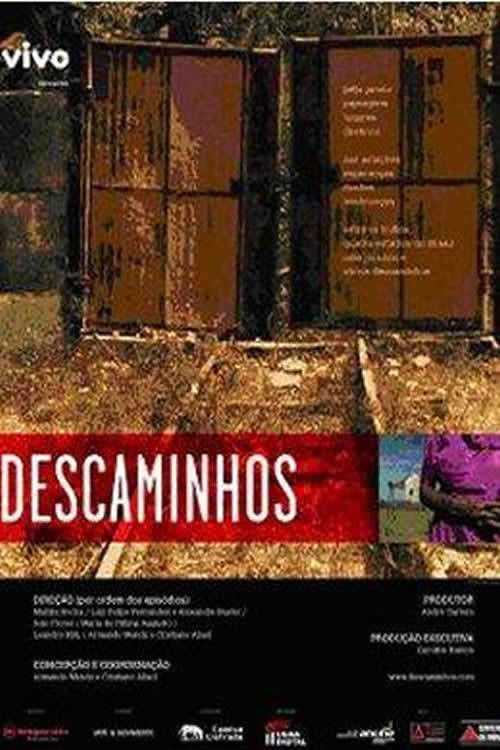 Descaminhos (2007) poster