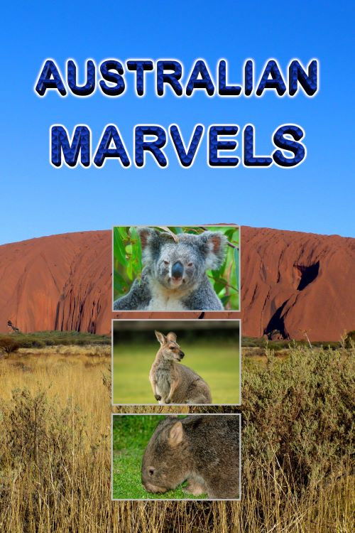 Australian Marvels (2016) poster