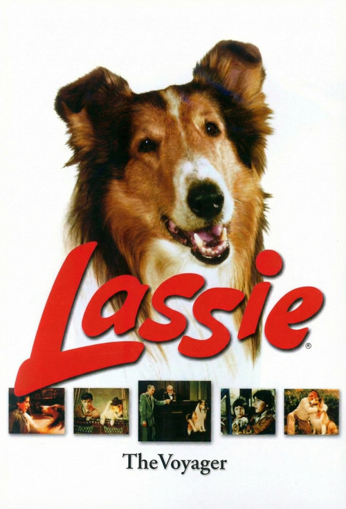 Lassie, the Voyager (1966) poster