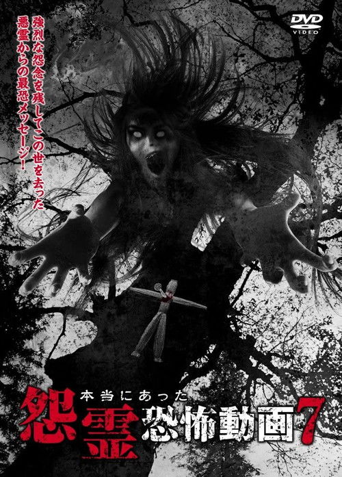 Real Vengeful Ghost Horror Video 7 (2014) poster