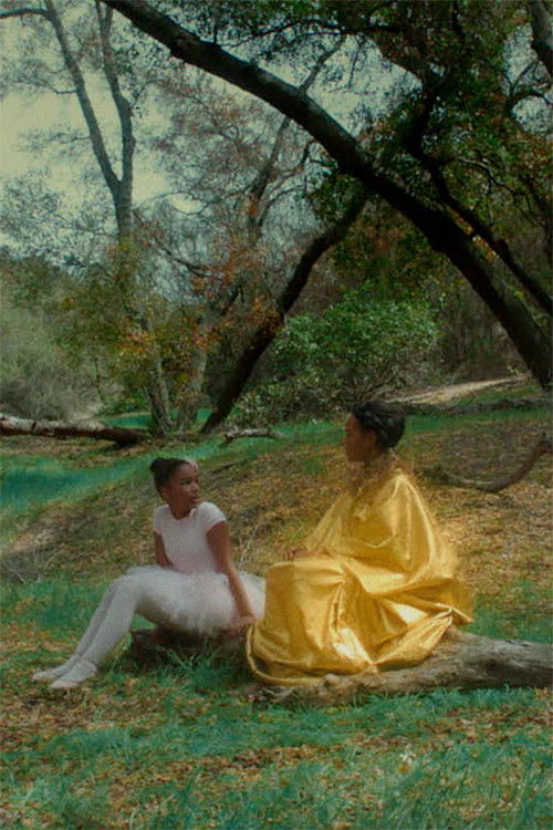 Beyoncé - Their Fall Our All (2014) poster