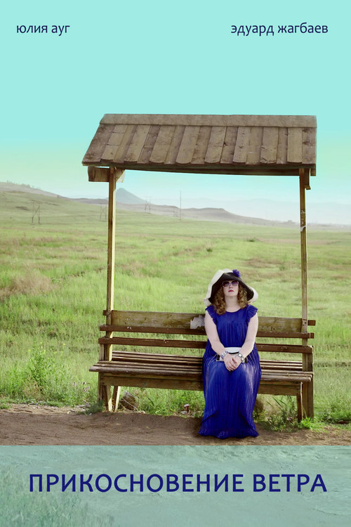 A Touch of Wind (2016) poster