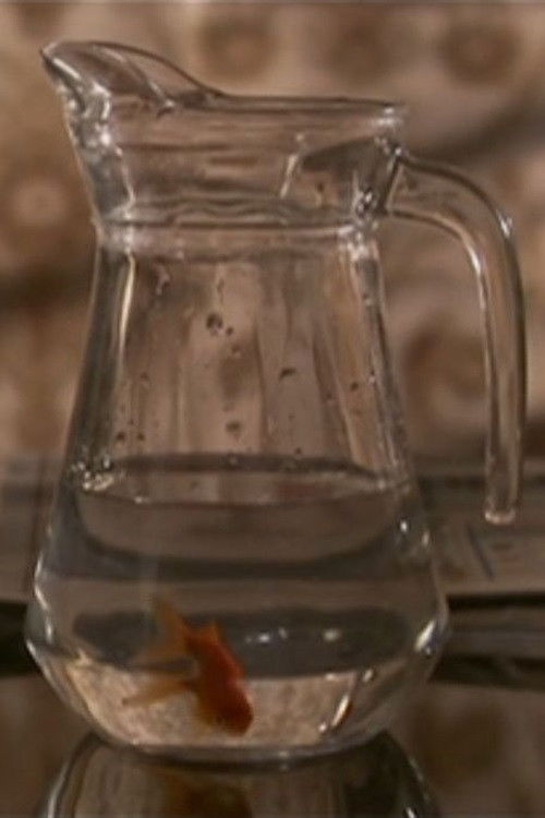 Un Si Petite Distance (2007) poster