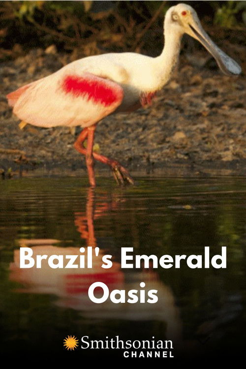 Brazil's Emerald Oasis (2020) poster