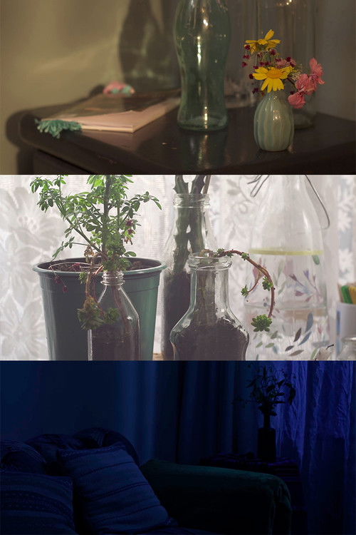 The Sleeping Beauty (2023) poster