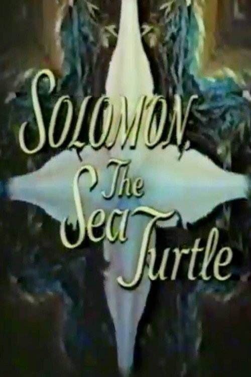 Solomon, the Sea Turtle (1969) poster