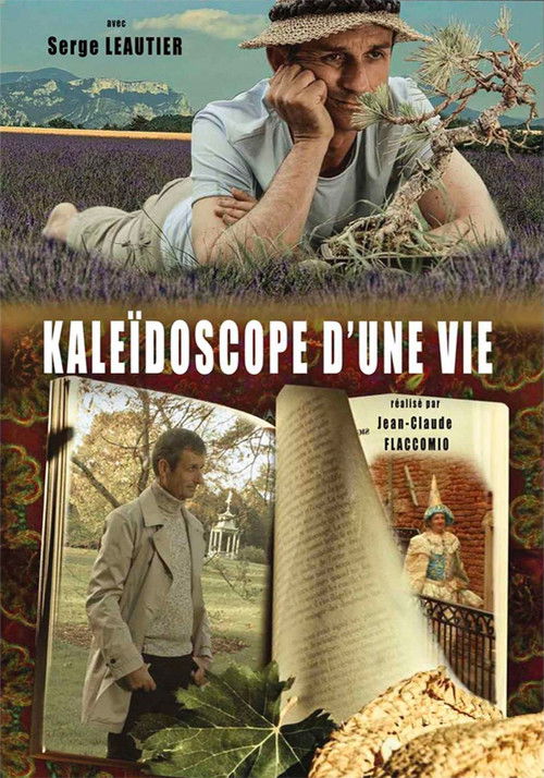 Kaleidoscope of a Life (2016) poster