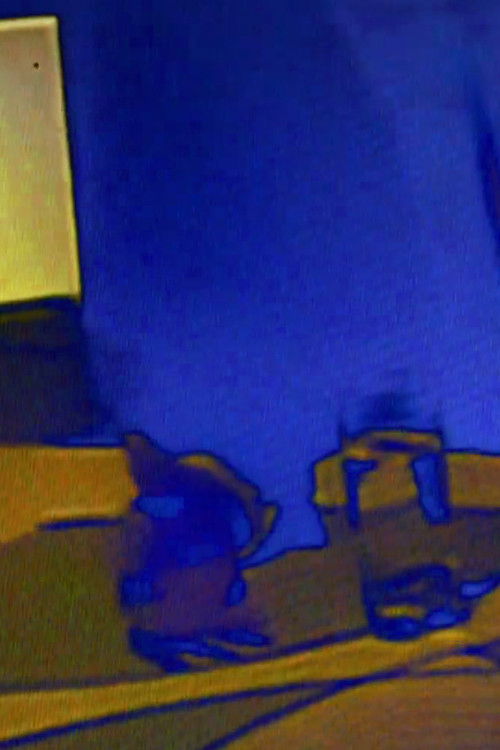 dia de sábado, infância estrela tv (2024) poster