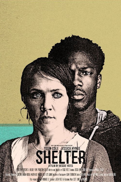 Shelter (2017) poster