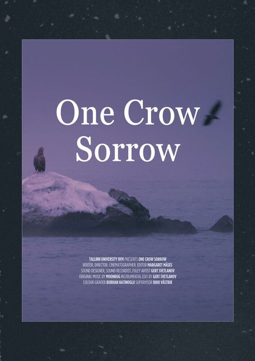 One Crow Sorrow (2024) poster