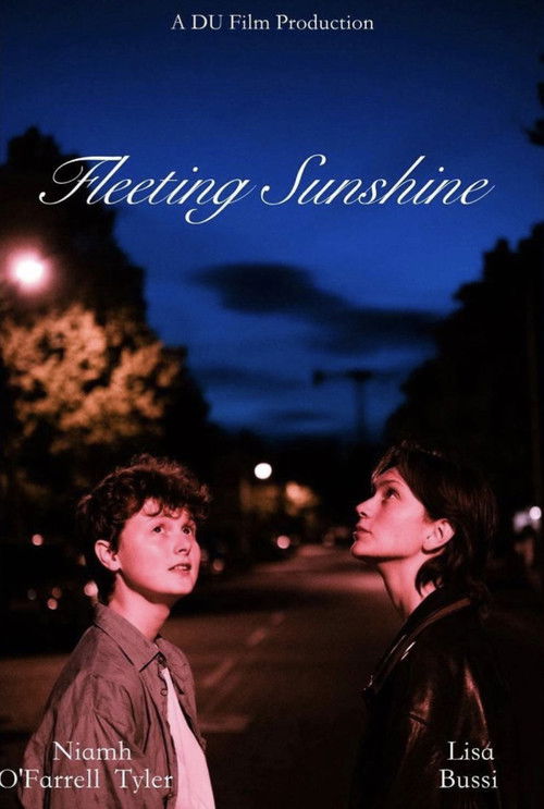Fleeting Sunshine (2022) poster