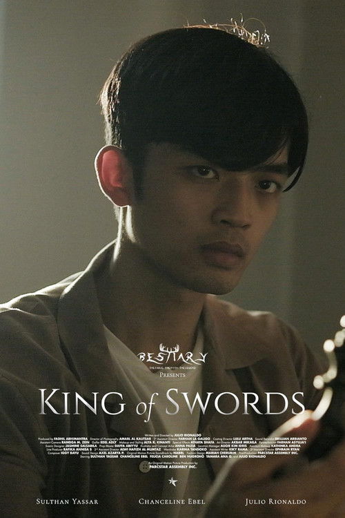 King of Swords (2024) poster