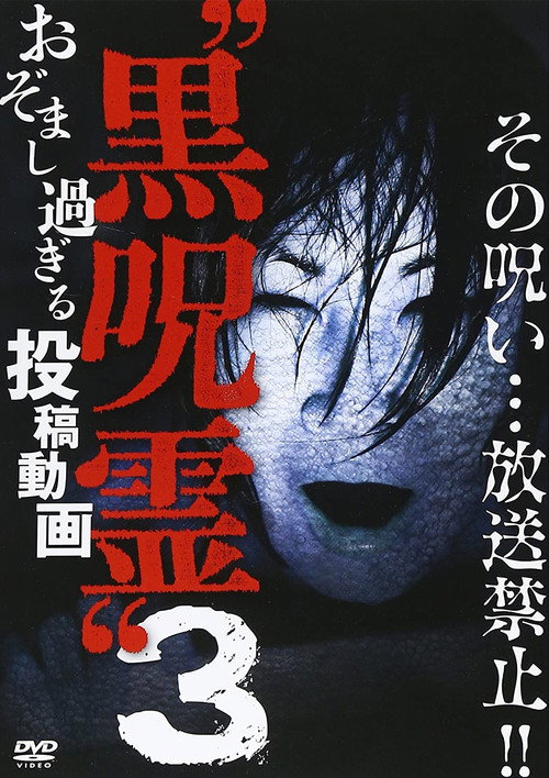 Submitted Videos That Cannot be Broadcast: Black Ghost 3 (2014) poster
