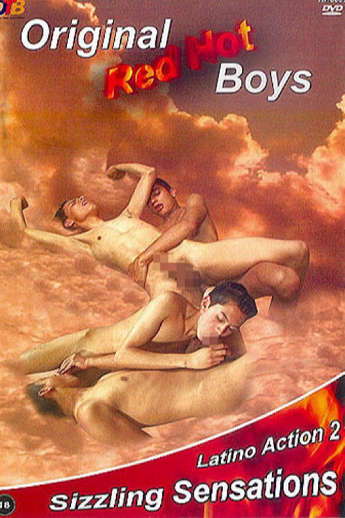 Latino Action 2: Sizzling Sensation (2013) poster