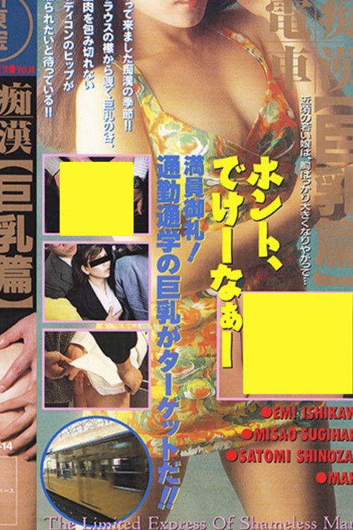 Groper Train: Lots of Big Breasts (1992) poster