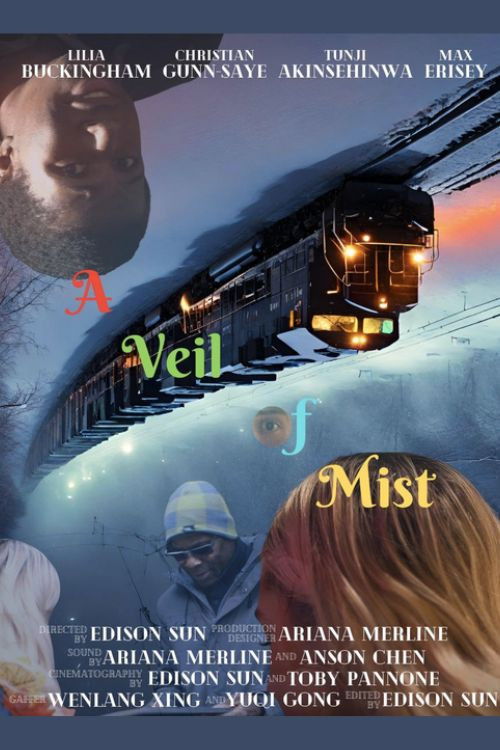 A Veil of Mist (2023) poster