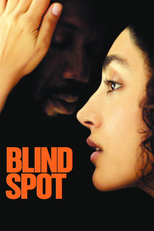Blind Spot (2019) poster