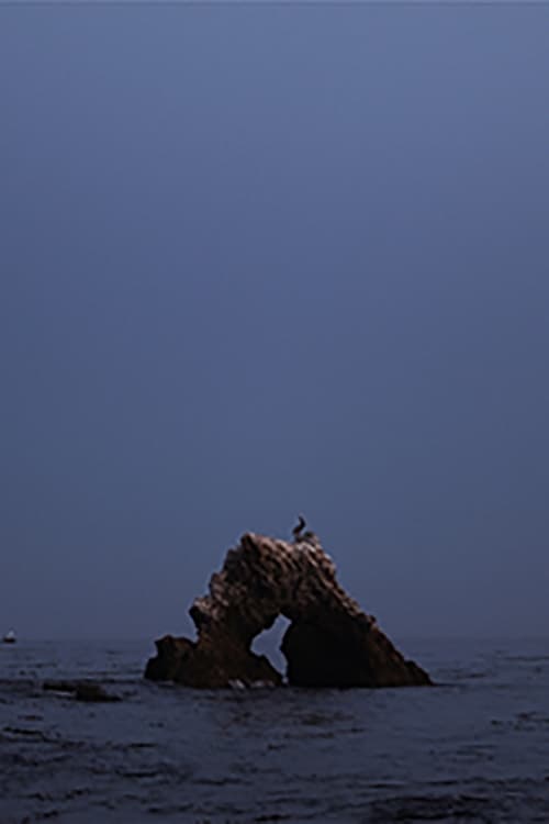 black widow summer set (2015) poster