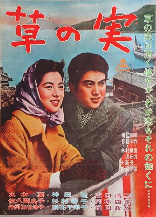 純愛物語　草の実 (1962) poster