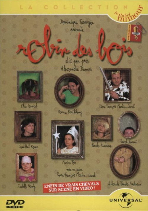 Robin des Bois d'à peu près Alexandre Dumas (1996) poster