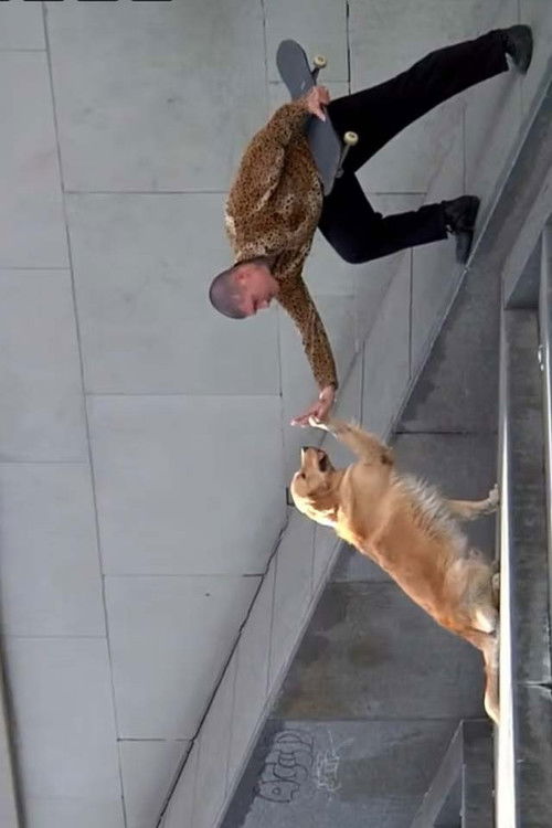 •BOOM (2019) poster