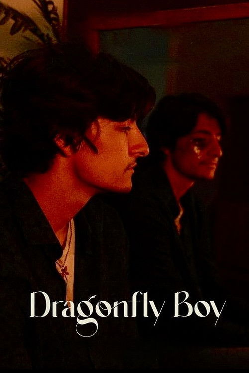 Dragonfly Boy (2021) poster