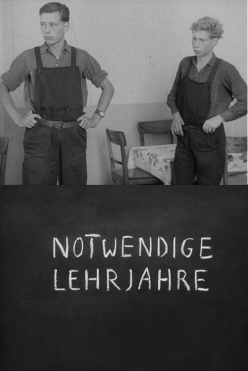 Notwendige Lehrjahre (1960) poster