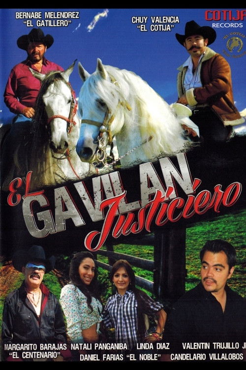 El Gavilan Justiciero (2013) poster