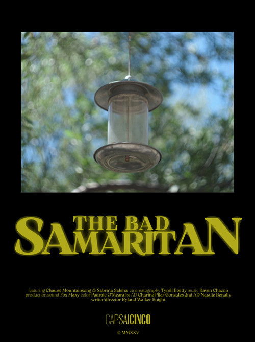 The Bad Samaritan (2026) poster