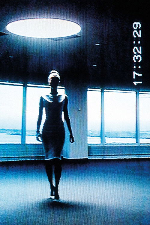 The More Visible They Make Me, The More Invisible I Become (2014) poster