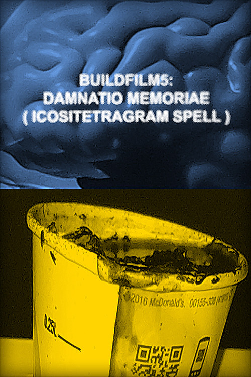 BuildFilm5: Damnatio Memoriae (Icositetragram Spell) (2025) poster