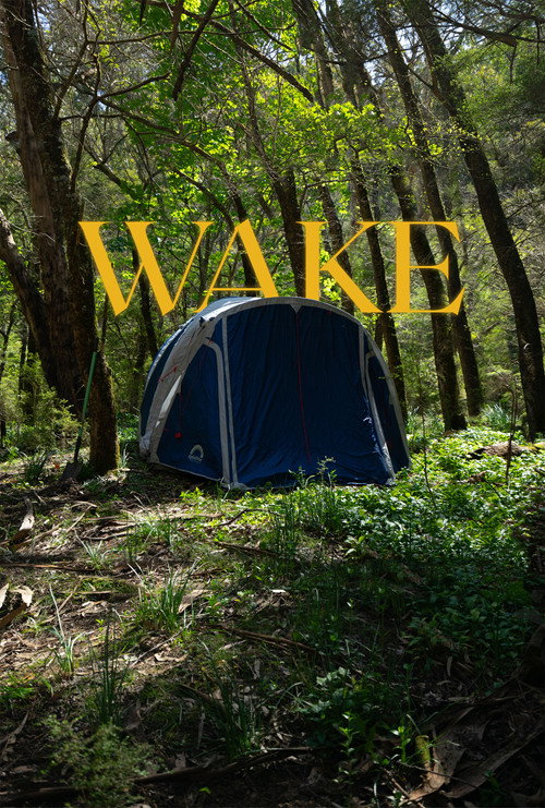 Wake (2025) poster