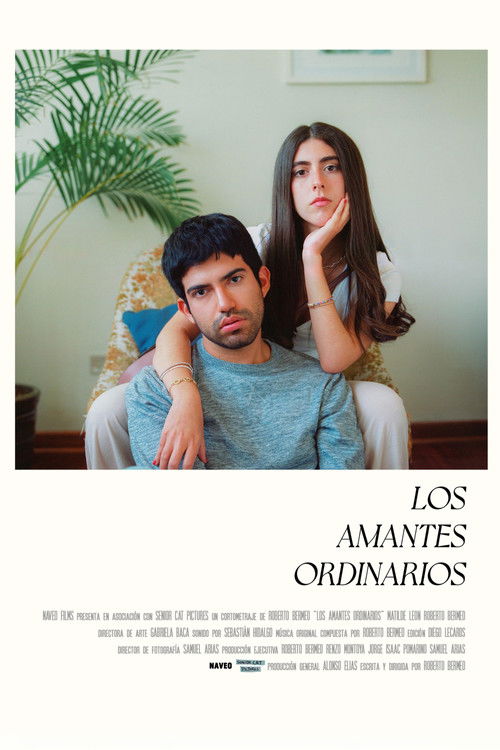 The Ordinary Lovers (2024) poster