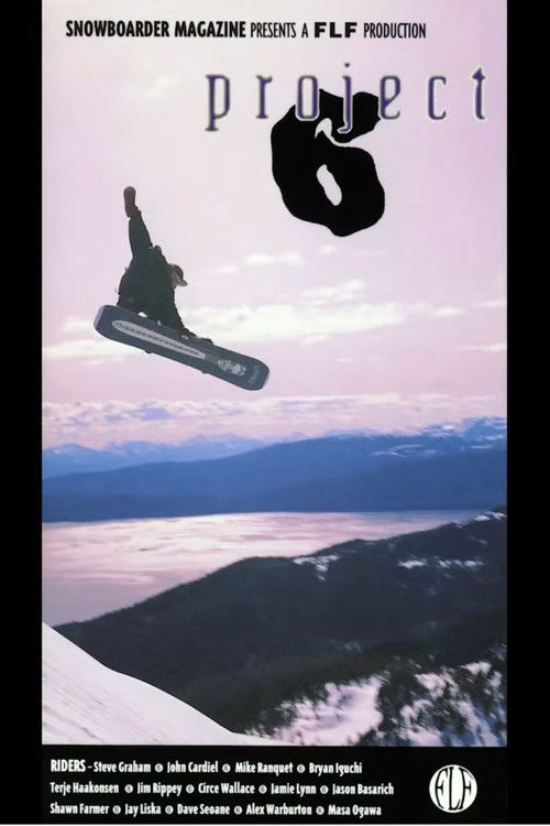 project 6 (1993) poster