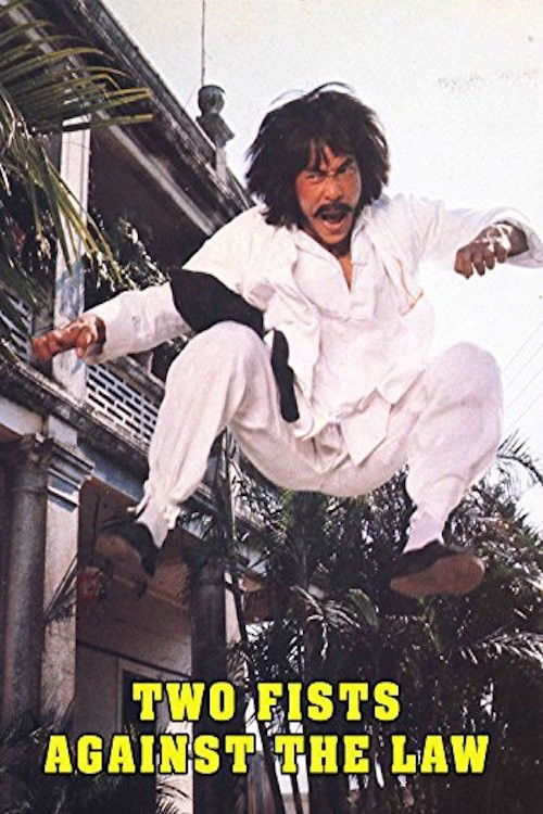 Two Fists Against the Law (1980) poster