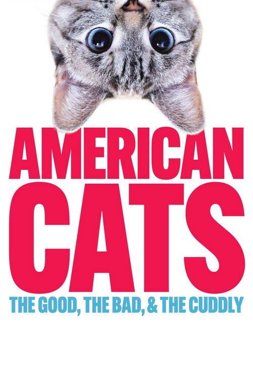 American Cats: The Good, the Bad, and the Cuddly (2024) poster
