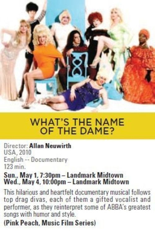 What's the Name of the Dame? (2009) poster