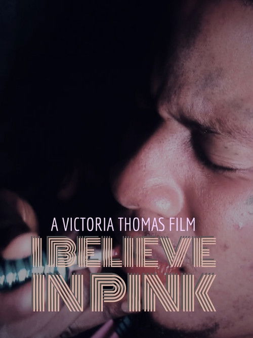 I Believe in Pink (2016) poster