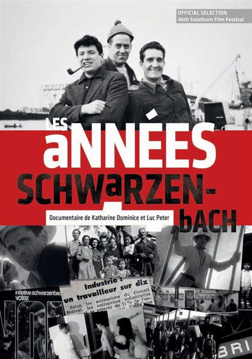Les années Schwarzenbach (2010) poster