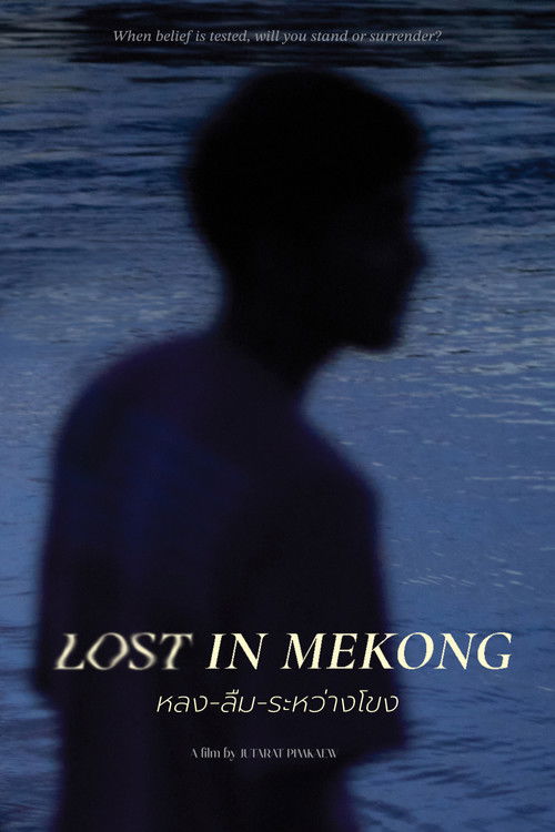 Lost in Mekong (2025) poster